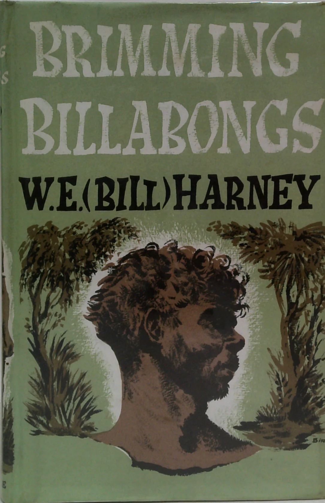 Brimming Billabongs