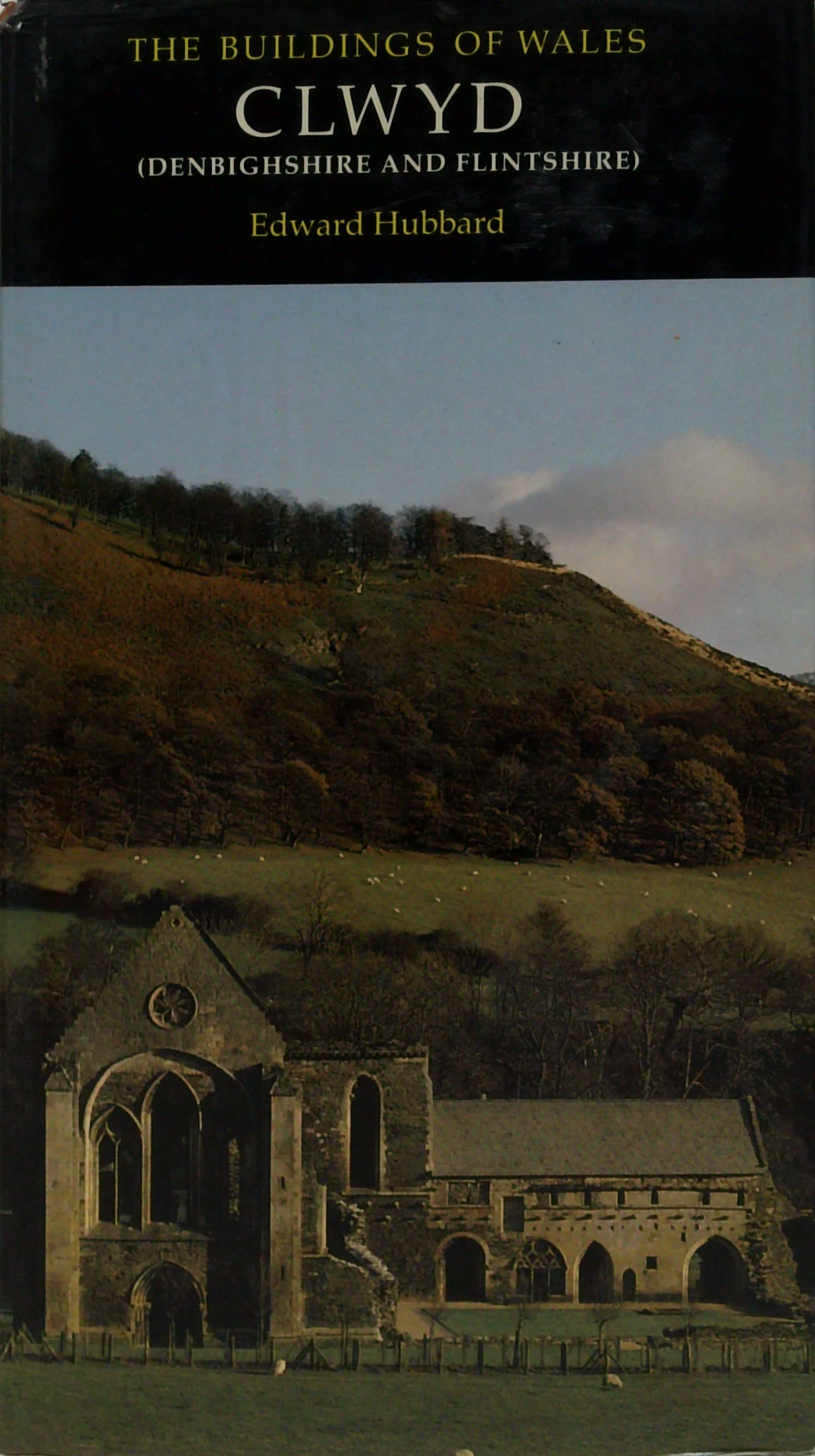The Buildings Of Wales: Clwyd (Denbighshire And Flintshire)