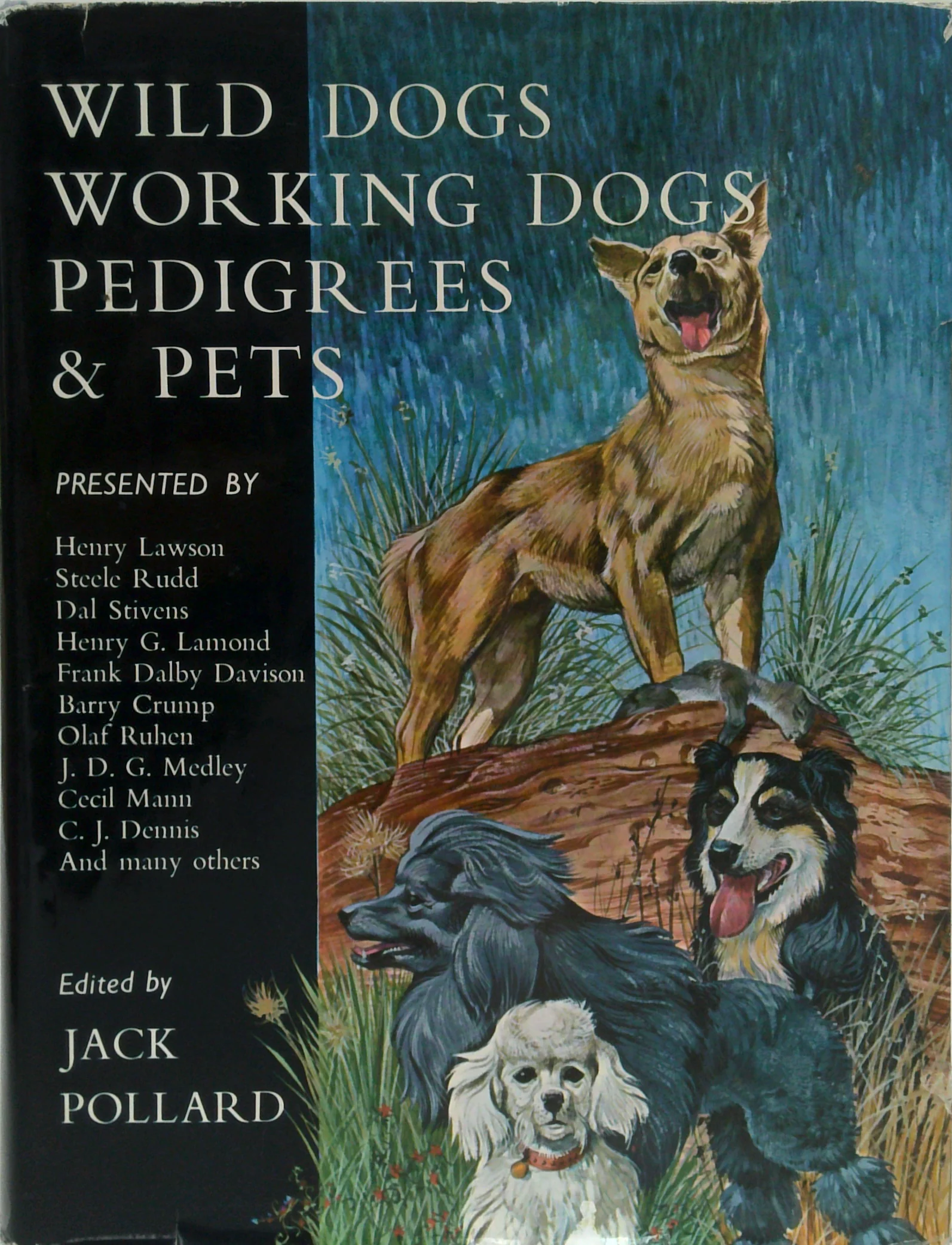 Wild Dogs Working Dogs Pedigrees & Pets