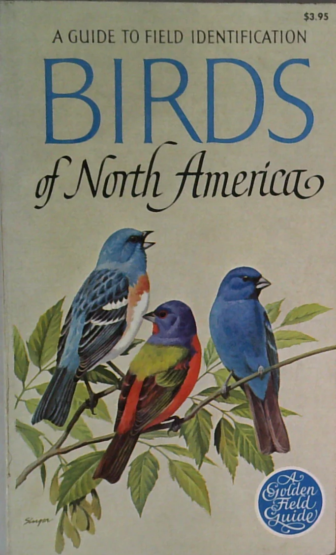 Guide To Field Identification: Birds Of North America