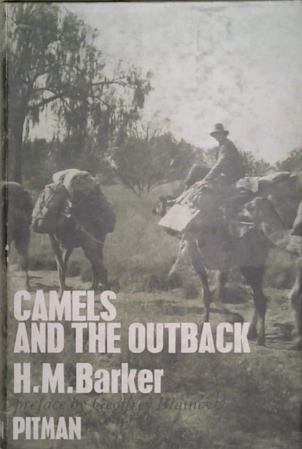 Camels And The Outback