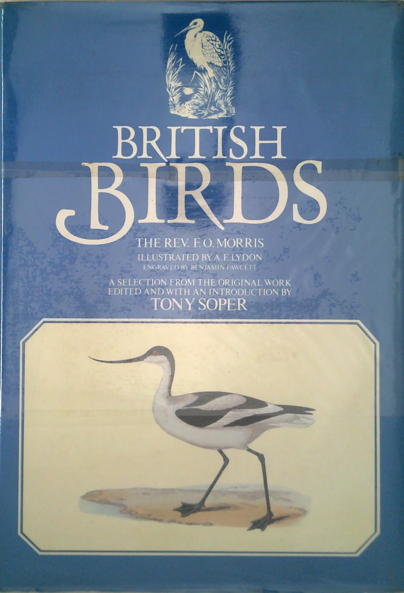 British Birds