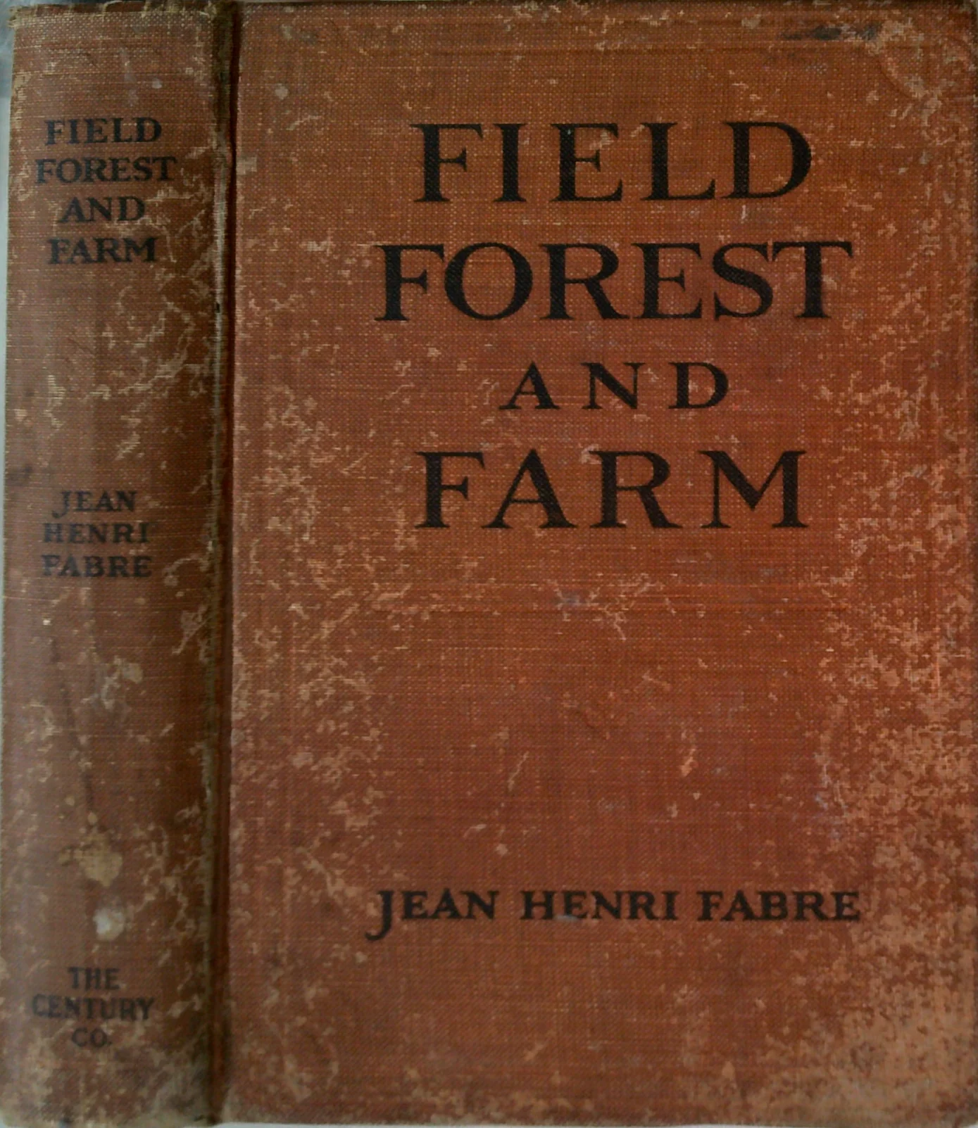 Field, Forest And Farm: Things Interesting To Young Nature-Lovers, Including Some Matters Of Interest To Gardeners And Fruit-Growers