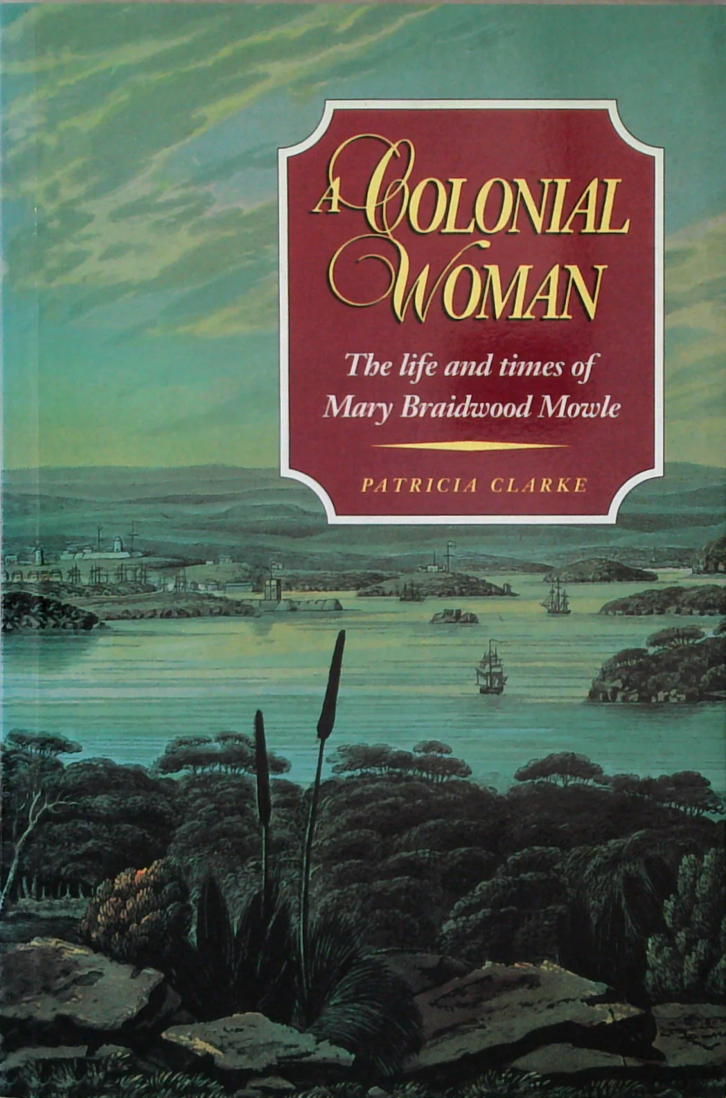 A Colonial Woman: The Life And Times Of Mary Braidwood Mowle 1827-1857