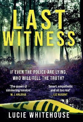 Last Witness: The brand new crime thriller that will keep you up all