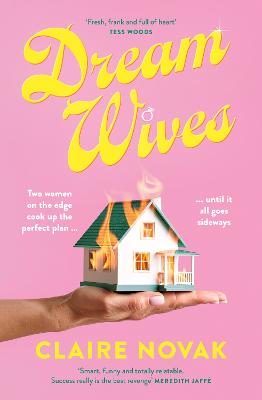 Dreamwives: A hilarious and moving mum-com for readers of Liane