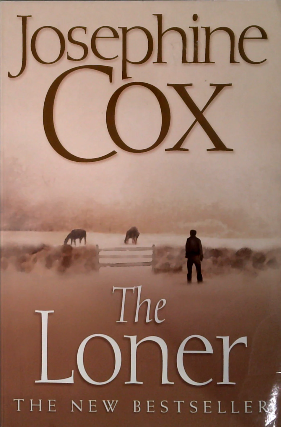 The Loner