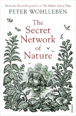 The Secret Network of Nature: The Delicate Balance of All Living