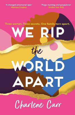 We Rip the World Apart: A sweeping story about motherhood, race and