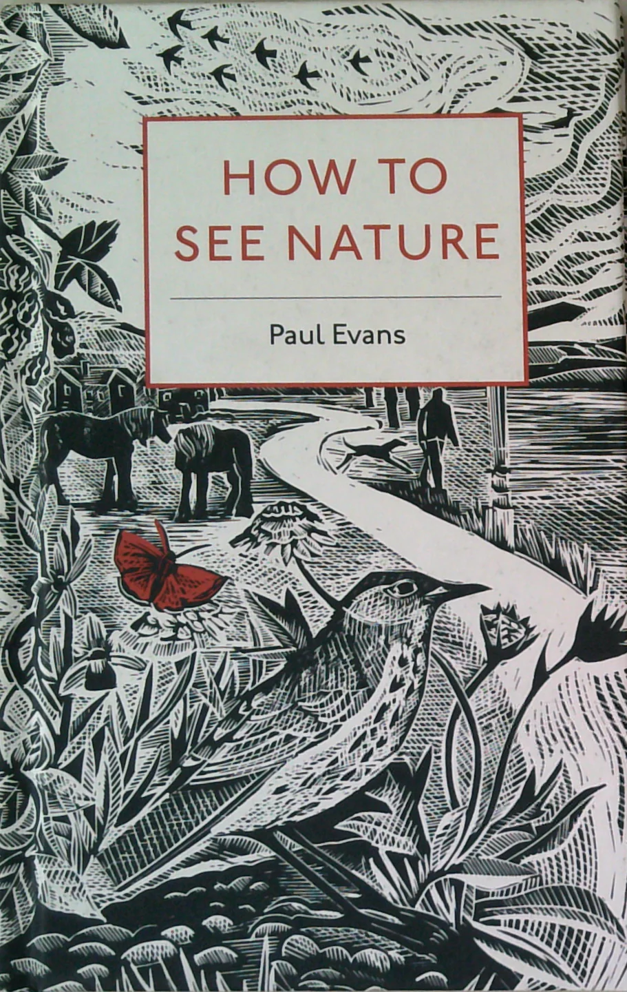 How To See Nature