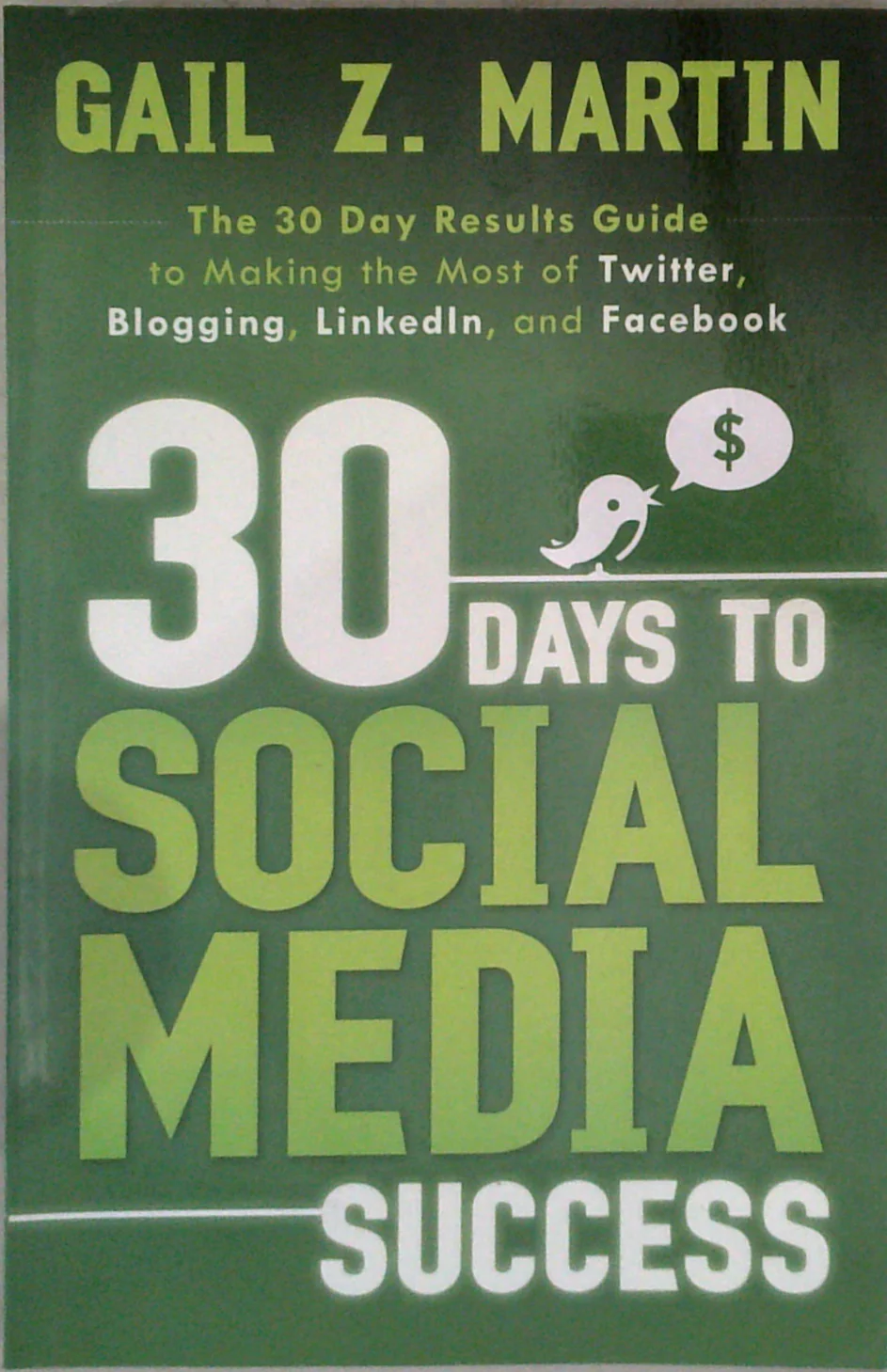 30 Days To Social Media Success: The 30 Day Results Guide To Making The Most Of Twitter, Blogging, Linkedin, And Facebook