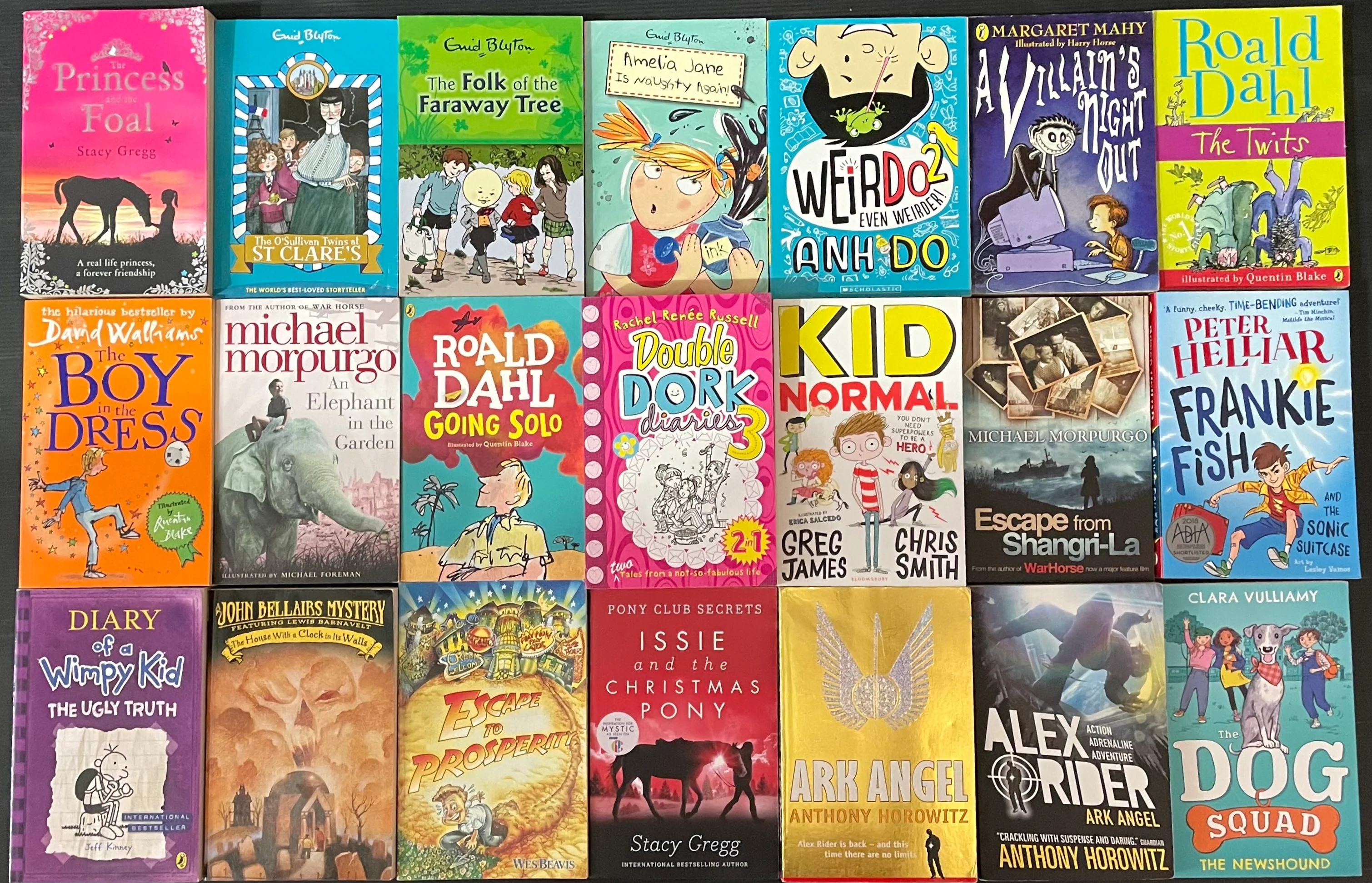 Secondhand Chapter Book (Age 8-12) Bargain Book Box (24 Books) SP2513